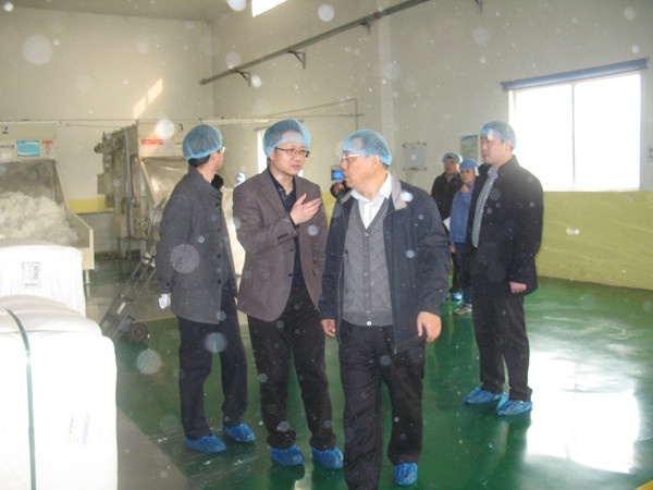 Director Zhang and Director Sun of the Municipal Development and Reform Commission visited the company
