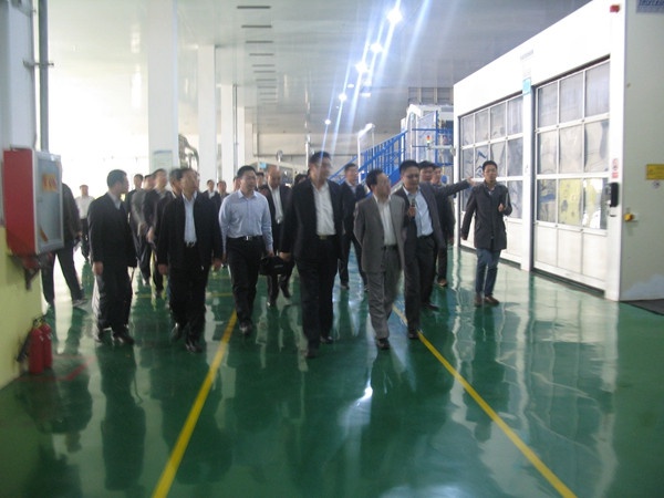 Mayor Yang Yixin of Dezhou visited our company